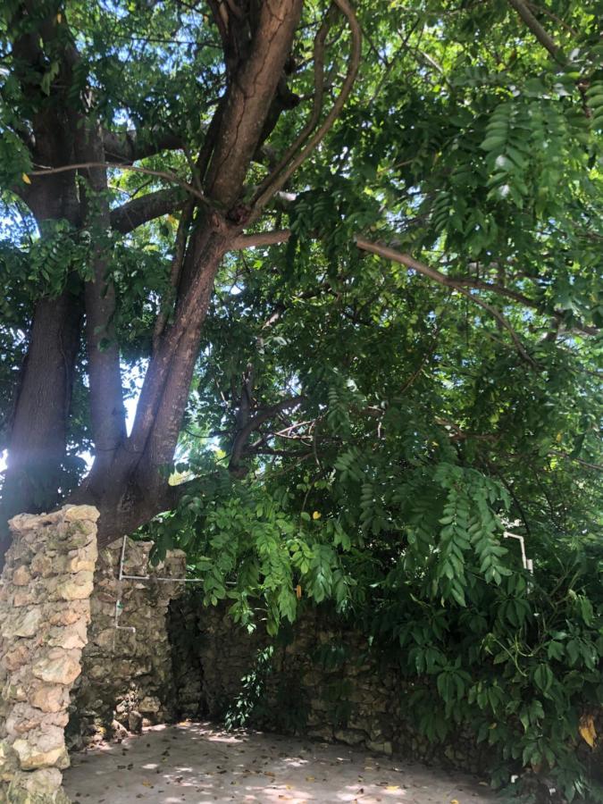 Casona La Carolina Villa San Andrés Dış mekan fotoğraf