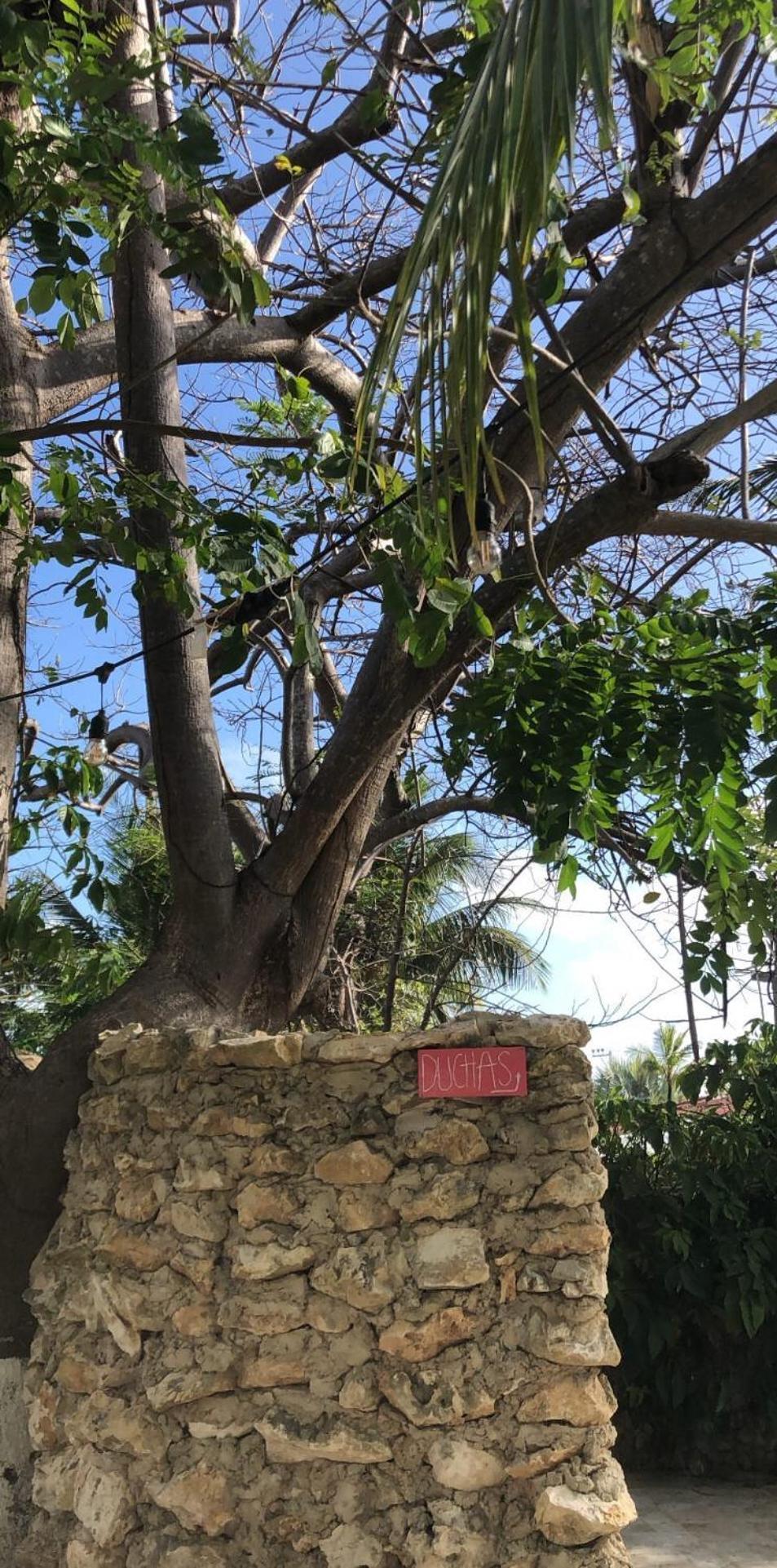 Casona La Carolina Villa San Andrés Dış mekan fotoğraf