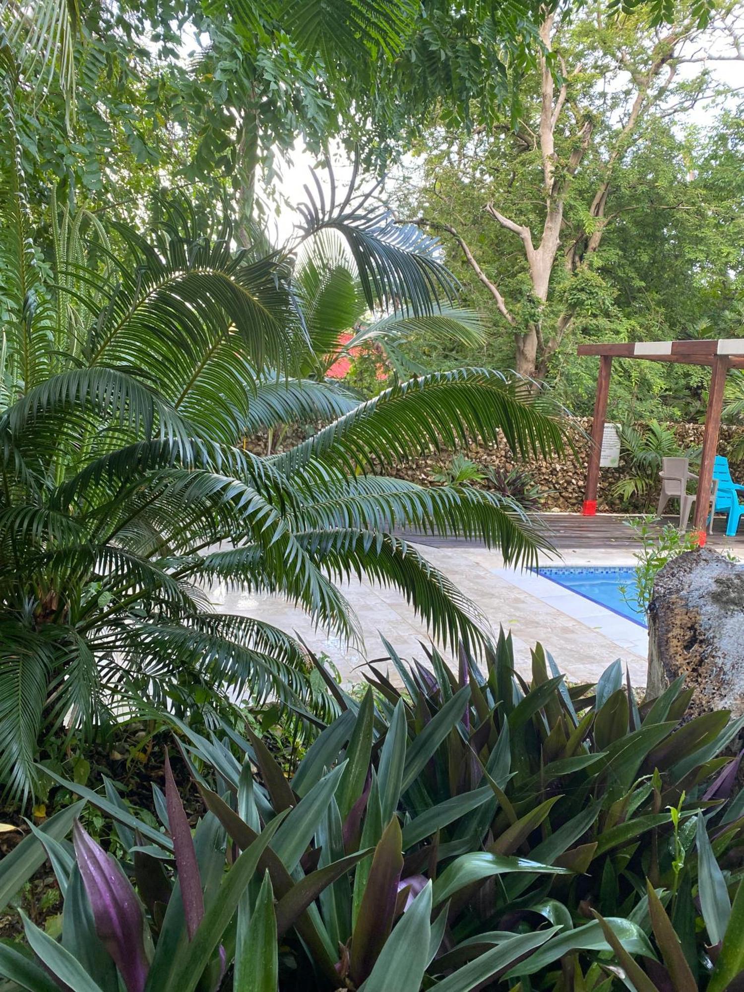 Casona La Carolina Villa San Andrés Dış mekan fotoğraf